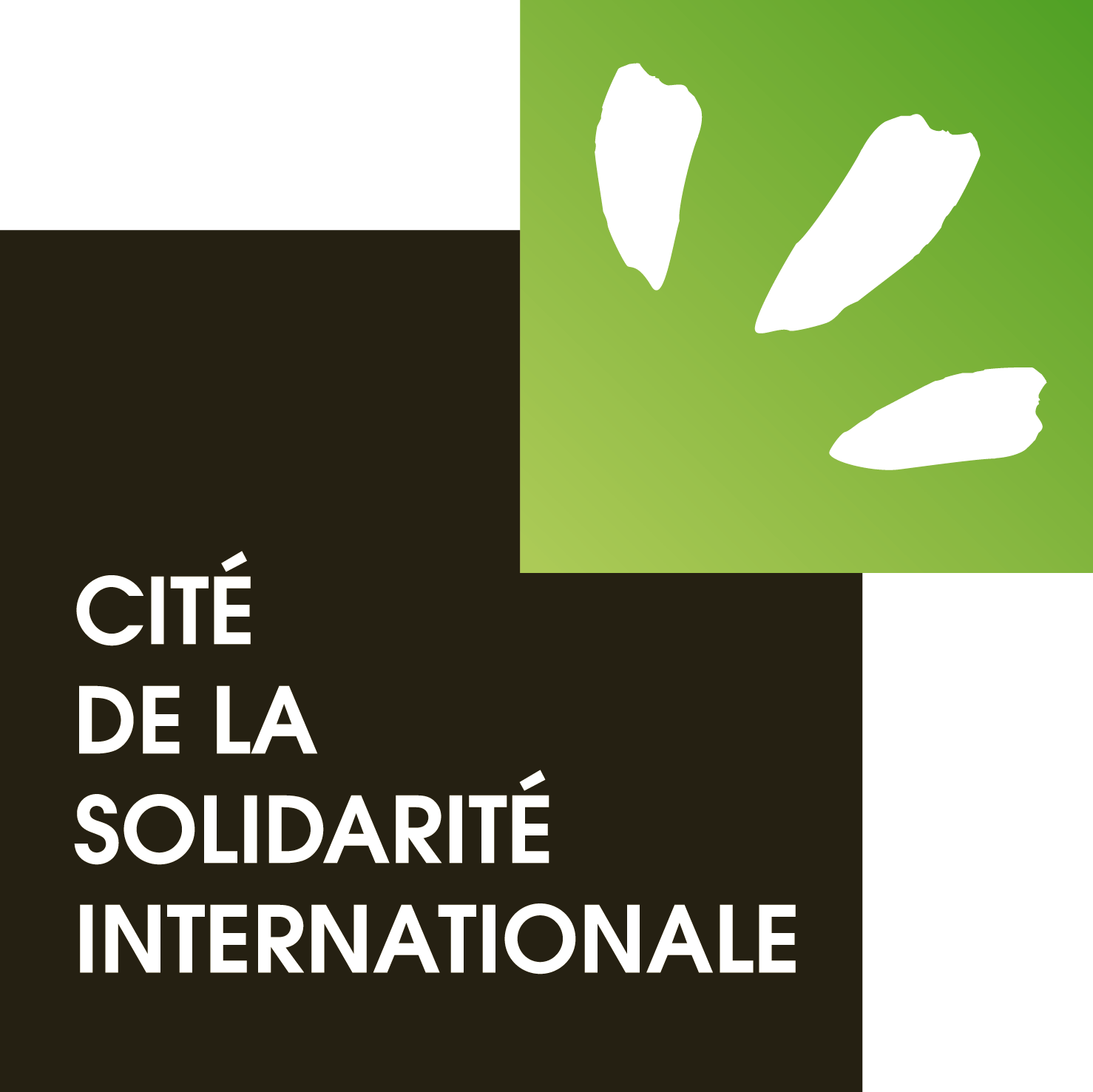(c) Cite-solidarite.fr