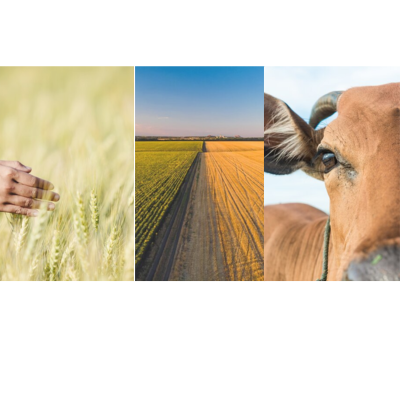 Agriagro