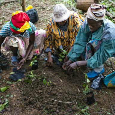 Photo-credit-CIFOR-on-Visualhunt