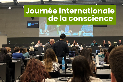 une salle de conférrence avec des personnes de dot et un écran sur lequel on voit les speakers